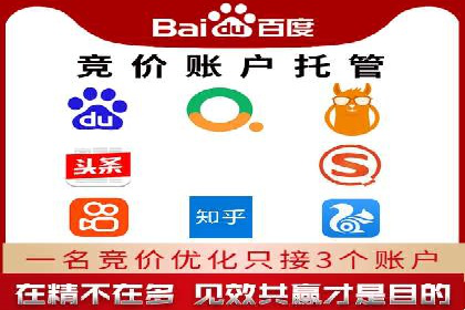 SEO百度推广策略：成功案例解析